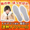 Thermal insole with tourmaline + magnet