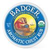 Badger - Winter Wonder Balm, Aromatic Chest Rub - 2 Oz