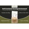 Pasteurized Wheat Straw Mushroom Substrate | 5 Pound Bag Ready To Use