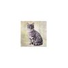 E&S Imports Ceramic Coaster - Silver Tabby Cat (1)