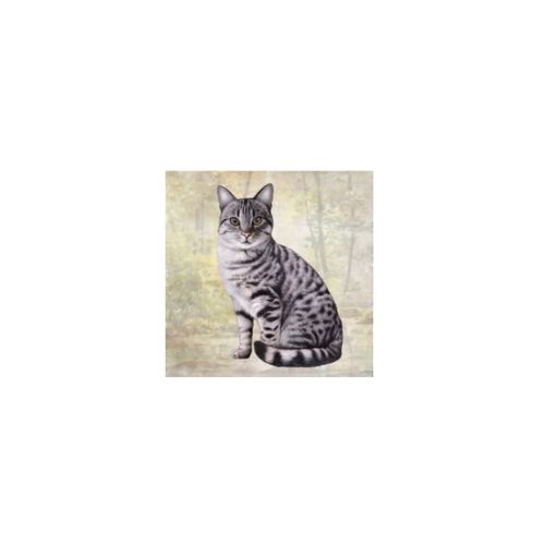 E&S Imports Ceramic Coaster - Silver Tabby Cat (1)