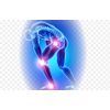 brain enhancement - JOINT MATRIX COMPLEX - glucosamine msm chondroitin 2B