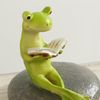 Kawabata Trading Figurine Reading Frog 1202PKC014