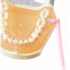 One Taft Brush, Set of 2, Pink