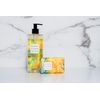 Mistral Marbles Hand Wash, Citrus, 16.9 fl oz