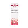 Galphimia glauca D4 DHU Dilution, 20 ml Lösung