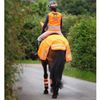 Shires Equi-Flector Mesh Exercise Sheet-Yellow-4ft0