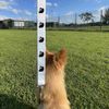 'Stitched Bird' Dog Lead/Leash (DL00012135)