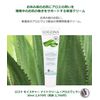 Moisture Night Cream Aloe Vera 1.0 fl oz (30 ml)