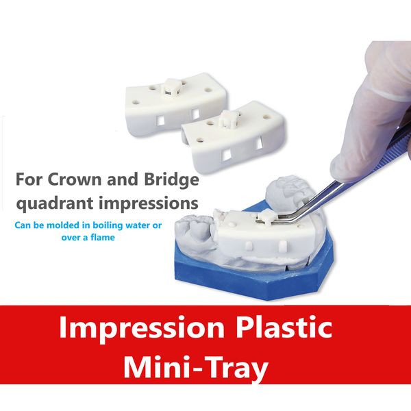 Dental Impression Mini Tray For Crown and Bridge Quadrant Impressions, 25/Bag