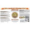 Skullcap (Scutellaria lateriflora) Liquid Extract 4 fl.oz