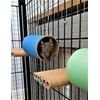 Chewchewbs Totally Degu 4 pack (White)