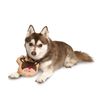 Midlee Reindeer Sugar Cookie Dog Toy (Small)