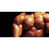 Regulates Hormones And Glands - MUSCLE MAKER PLUS - Decreasing Abdominal Fat 3B