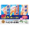 【指定第2類医薬品】ペインサール顆粒 6包