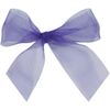 Organdy Ribbon - BlackBerry (3/4")