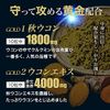 Yuki Pharmaceutical Black Maca Turmeric 20-25 Days 200 Grain Supplement Autumn Turmeric Curcumin