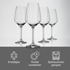 vivo - Villeroy & Boch Group Voice Basic Glas White Wine Goblet Set 4pcs EC