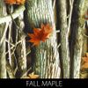 Hydro Dip  Film Activator Combo Kit Fall Maple Camo Camouflage