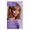 Dark & Lovely Color #379 Golden Bronze (3 Pack)