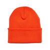 Flexfit YP Classics Thinsulate Cuffed Beanie Hat, Safety Orange, One Size
