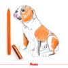 Pentel iZee 1.0mm Ballpoint - Orange Ink - Pack of 12