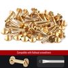 Szkoo Chicago Binding Screws - 4mm x 16mm, 25 PCS (Brass, Phillips Nut)
