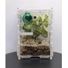 Jumping Spider Enclosure Starter Kit! Full setup, sling, pet jumping spider, front opening, secure. Invert friendly! (Green)