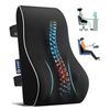Memory Foam Lumbar Support Cushion for Home Office Car Seat