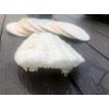 BeNat. Natural Loofah Sponge -5 Pads- Zero-Waste. Biodegradable. Eco-Friendly (Diameter 3")