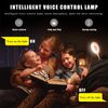 New USB Smart Voice Control Night Light LED Dimmable Daylight Bedroom Table Lamp