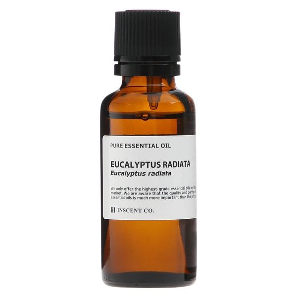 Eucalyptus Radiata 30ml Incent Essential Oil Essential Oil