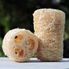 HealthGoodsIn - Organic Loofa Natural Bath Sponge, Set of 2 Exfoliating Bath Sponge Scrubber | Naturally Grown Loofah (Set of 2)