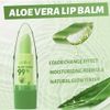 Aloe Vera Lip Balm