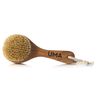 UMA Body Beautiful Kit