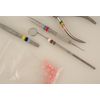 Pink Color Coding Band 50-pack Dental Instruments Identification Silicone O-Ring