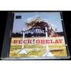 Odelay [UK Limited Edition]