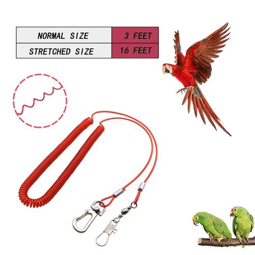 Bird Harness Leash Anti-bite Outdoor Red Flying Training Rope with 5pcs Different Sizes of Soft Foot Loops and Training Whistle(Upgraded Version of Ankle Ring)