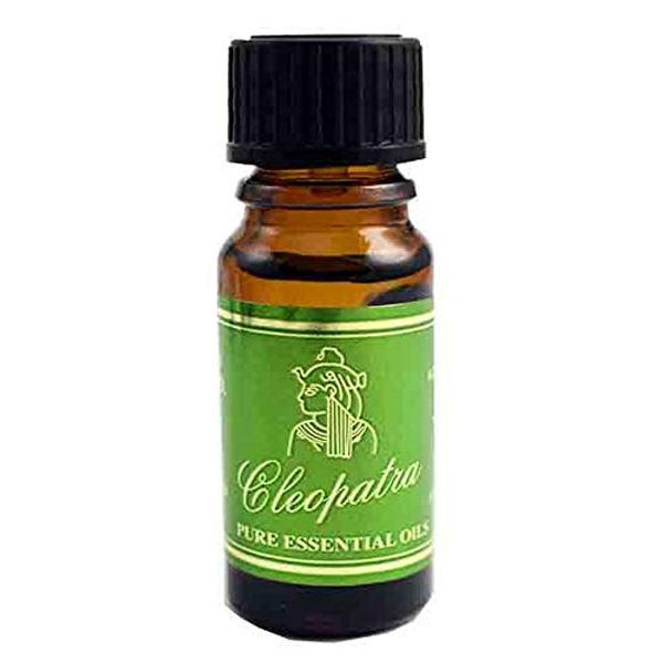 Cleo Oil Essential Rosemary 10ml Bottle