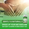 Moringa Leaf Organic Extract 1000mg Serving 100% Pure 120 Caps Immune Support US