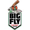 All-Star Big Fly Scented Bat Grip Stick - Walkoff Watermelon