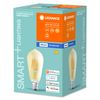Ledvance Smart Home, Bulb, E27, Filament, Bluetooth, Polypropylene, 5.5 W, Gold