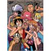 300 Pieces One Piece Simply Pose. AM300 – L117
