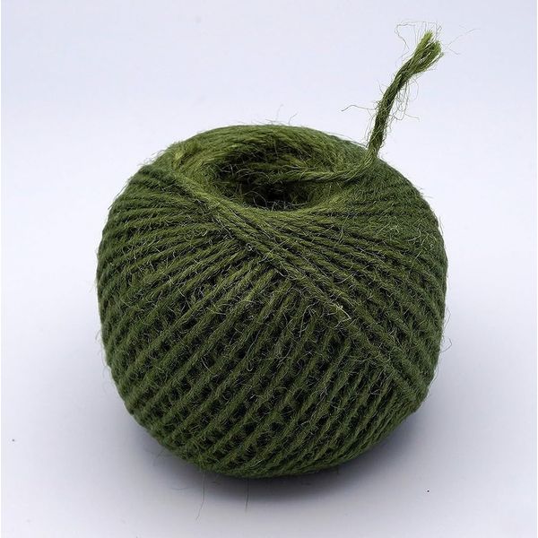 Jute Garden Twine - Horticultural Twine String Line (1 Roll, Green)