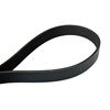 Continental OE Technology Series 4070567 7-Rib, 56.7" Multi-V Belt