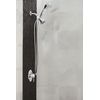 Moen 3636EP Acc-Core Four Function Eco-Performance Handheld Shower with Wall Bracket and 69-Inch Hose, Chrome