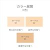 EX:BEAUTE Exvorte Vision Foundation Mat (Ochre 01, 24g)