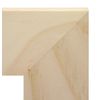 MCS 4x6 Inch Unfinished Pine Craft Frame (58105)