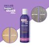 Shiny Silver Conditioner Ultra Color Enhancing 12 Ounce (354ml) (2 Pack)