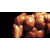 Increased Work Output - MUSCLE MAKER PLUS - Improve Overall Health 6B